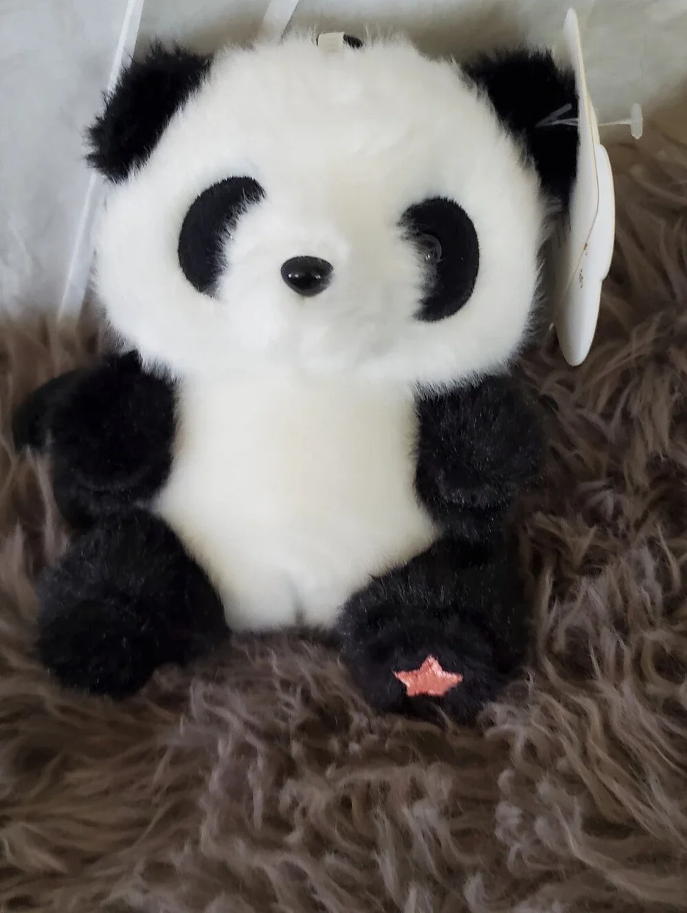 Toy